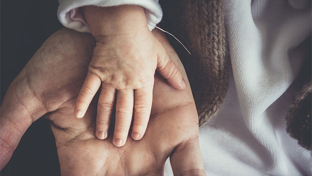 Parent and child hands.